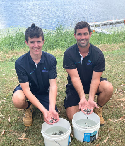 Aquaculture Gladstone Hits Restocking Milestone for the First Time